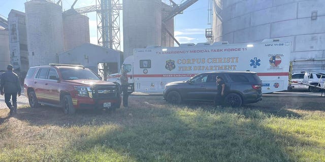 Texas emergency personnel respond to a grain elevator collapse