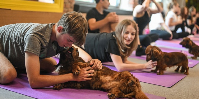 People at a puppy yoga class